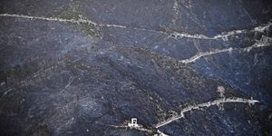 Τουλάχιστον 12 νεκροί από τις δασικές πυρκαγιές στην Αλγερία
