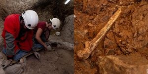 Απολιθώματα του Homo Antecessor που παραπέμπουν σε κανιβαλισμό ανακαλύφθηκαν στην Ισπανία