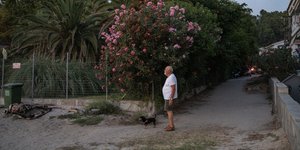 Η επόμενη μέρα των πυρκαγιών στην Χαλκιδική