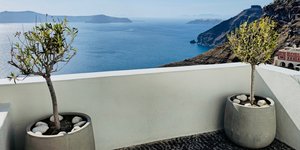 Mικρά ελαιόδεντρα σε γλάστρα