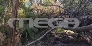 Το σημείο που ξεκίνησε η φωτιά στη Χαλκιδική