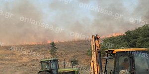 Φωτιά στην Κρήνη Φαρσάλων
