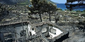 "Polarized Meltemi": Rare Wind Pattern Fueled Deadly Greek Wildfires, Meteorologist Says