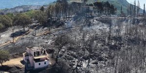 Καμένες εκτάσεις από τη φωτιά στη Φωκίδα