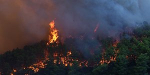 Πύρινη λαίλαπα στον Κιθαιρώνα