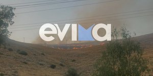 Φωτιά στη Χαλκίδα