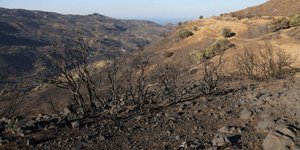 Καμένη έκταση στο Ρέθυμνο μετά τη φωτιά