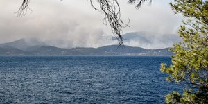 Φωτιά στο Σκάλωμα Φωκίδας (ΑΝΔΡΕΑΣ ΑΛΕΞΟΠΟΥΛΟΣ/ EUROKINISSI)