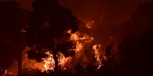 Μεγάλη φωτιά και ολονύχτια μάχη με τις φλόγες