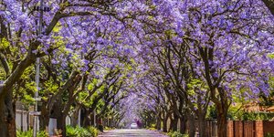 Φωτογραφία: shutterstock