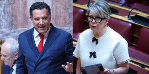 Άδωνις Γεωργιάδης, Έλενα Ακρίτα