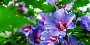 Φωτογραφία: shutterstock
