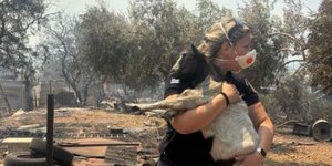 Αστυνομικός σώζει κατσικάκι από την φωτιά στη Βοιωτία