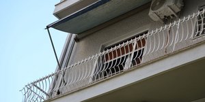 κυψέλη έμβρυο βρέφος βαλίτσα