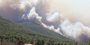 Ο Κιθαιρώνας, το βουνό που καίγεται εδώ και τέσσερις ημέρες στα σύνορα Βοιωτίας και Αττικής, είναι ένας από τους πυκνότερους μυθολογικούς τόπους της αρχαιότητας / ΙΝΤΙΜΕ