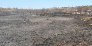 Καμένη έκταση στη Ροδόπη