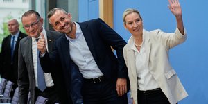 AfD