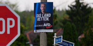 afd γερμανια