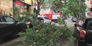Κακοκαιρία: Πτώση δέντρου και διακοπή της κυκλοφορίας στη συμβολή της Διδότου με τη Χαριλάου Τρικούπη