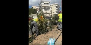Δέντρο