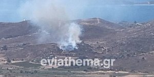 Φωτιά στην Κάρυστο στην Εύβοια
