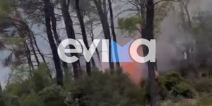Φωτιά στην Εύβοια