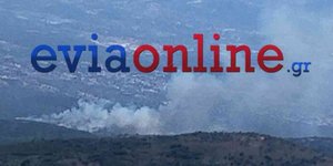 Φωτιά σε δασική έκταση στο Παρθένι Αλιβερίου