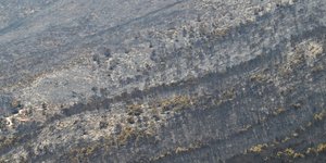 Καμένες εκτάσεις στο Πόρτο Γερμενό 