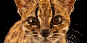 Instagram National Geographic UK