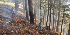 Πυροσβέστες επιχειρούν στη Κόνιτσα