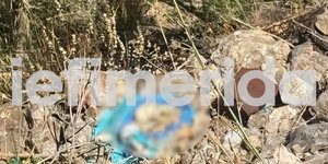 Τα οστά που βρέθηκαν στην Κυψέλη