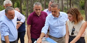 Σταύρος Παπασταύρου