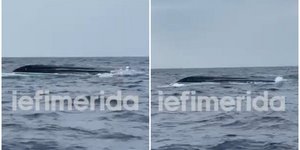 Σε εξέλιξη βρίσκονται οι έρευνες στη θαλάσσια περιοχή βόρεια της Κυλλήνης