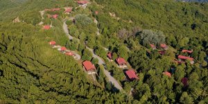 Δασικό Χωριό «Κέδρος»
