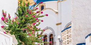 βουκαμβιλια εκκλησια