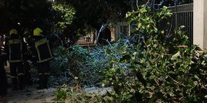 Πτώση μεγάλου δέντρου κοντά στο Μέγαρο Μαξίμου