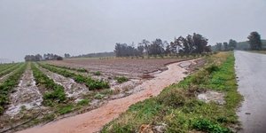 Προβλήματα από την κακοκαιρία στην Εύβοια