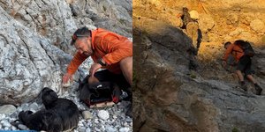 Μέλη της ομάδας Outdoor Activities Greece διέσωσαν ένα τραυματισμένο μωρό φώκιας στα Κύθηρα – Πηγή φωτογραφιών Animal Aid Kythira Instagram