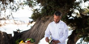 άνδρας σεφ τραπέζι λαχανικά δέντρο 