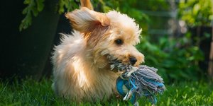 Φωτογραφία: Shutterstock