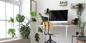 Φωτογραφία: Shutterstock