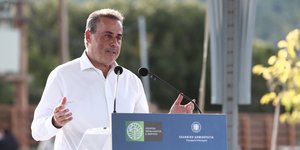 Energy Minister Stavros Papastavrou