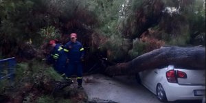 Πεύκο καταπλάκωσε ΙΧ στο Π. Φάληρο