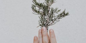 Με αύξηση 269% στις αναζητήσεις, το νερό από δεντρολίβανο αναδεικνύεται στο απόλυτο trend περιποίησης μαλλιών της σεζόν
