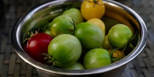 Μπολ με πράσινες, άγουρες ντομάτες - Shutterstock