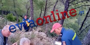 Φωτογραφία από την επιχείρηση της Πυροσβεστικής