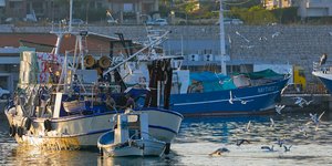 Νεα Μηχανιώνα βαρκες