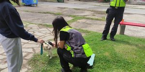Θεσσαλονίκη: Πρόστιμα 14.300 ευρώ από τη Δημοτική Αστυνομία για παραβάσεις σχετικά με ζώα συντροφιάς