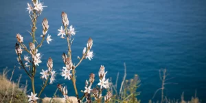 Χειμωνιάτικη λιακάδα -Φωτογραφία: Eurokinissi/Γιώργος Κονταρίνης