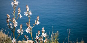 Χειμωνιάτικη λιακάδα -Φωτογραφία: Eurokinissi/Γιώργος Κονταρίνης